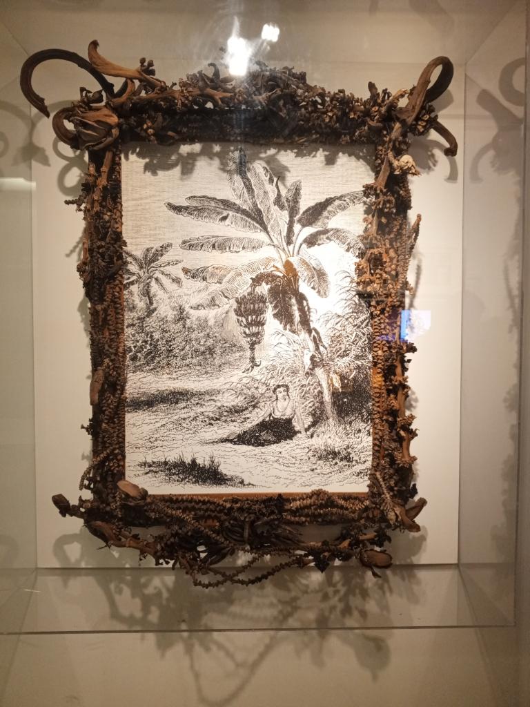 El Paraíso Perdido de Don Alejandro Montemayor